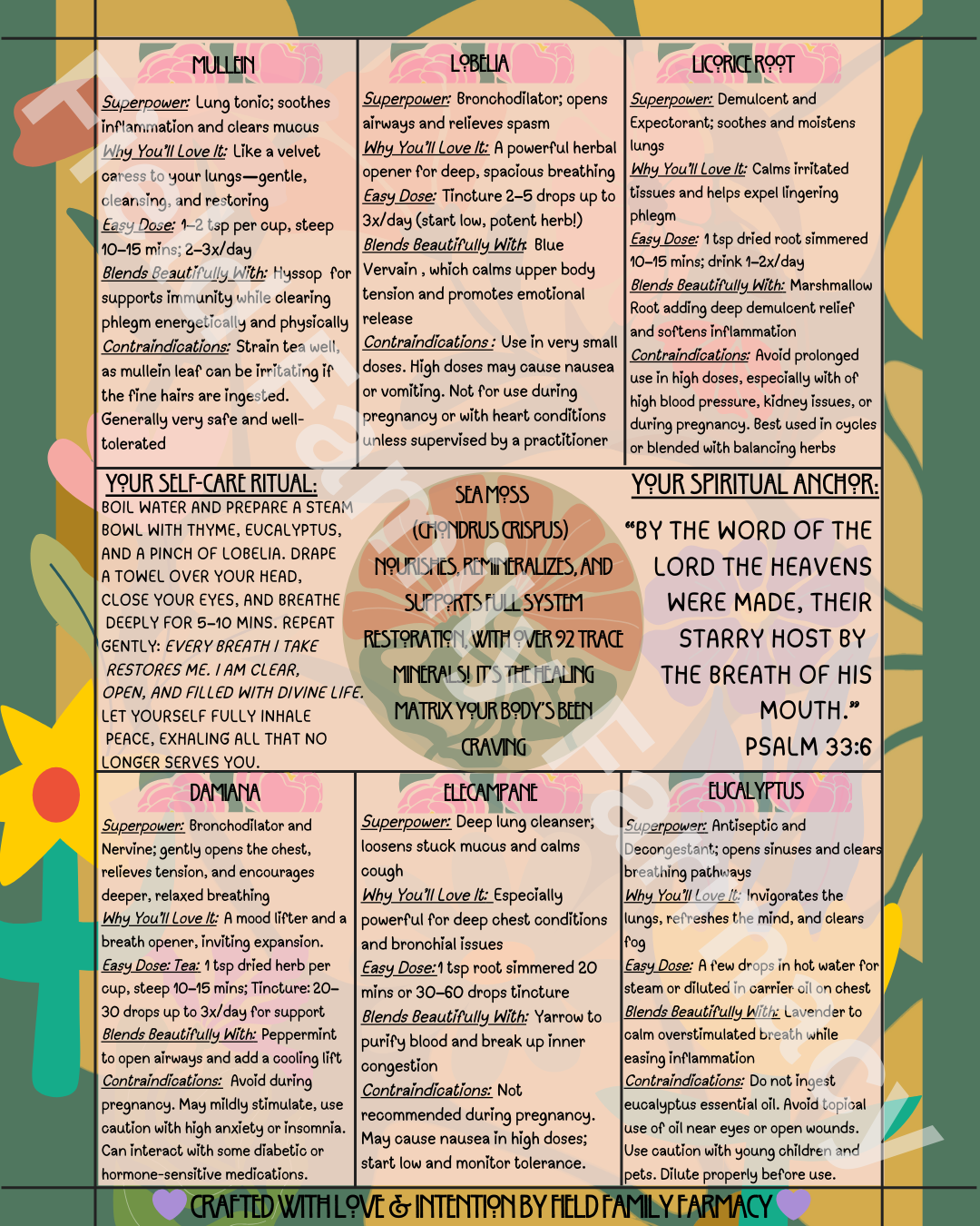 The Herbal Gospel: Respiratory System Cheatsheet