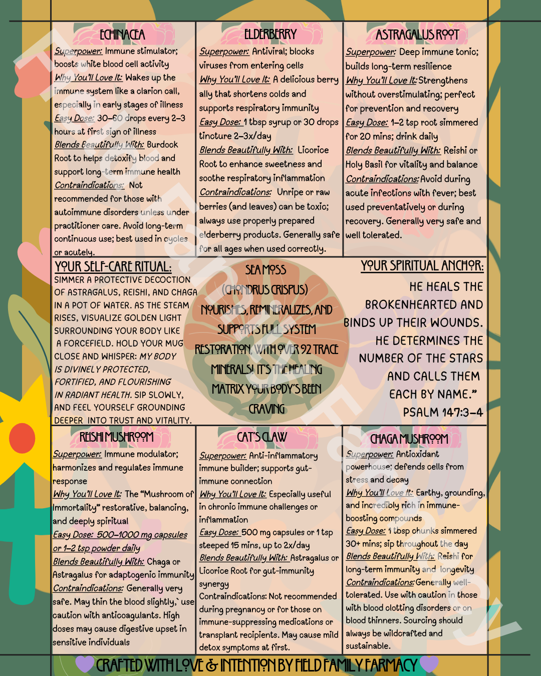 The Herbal Gospel: Immune System Cheatsheat