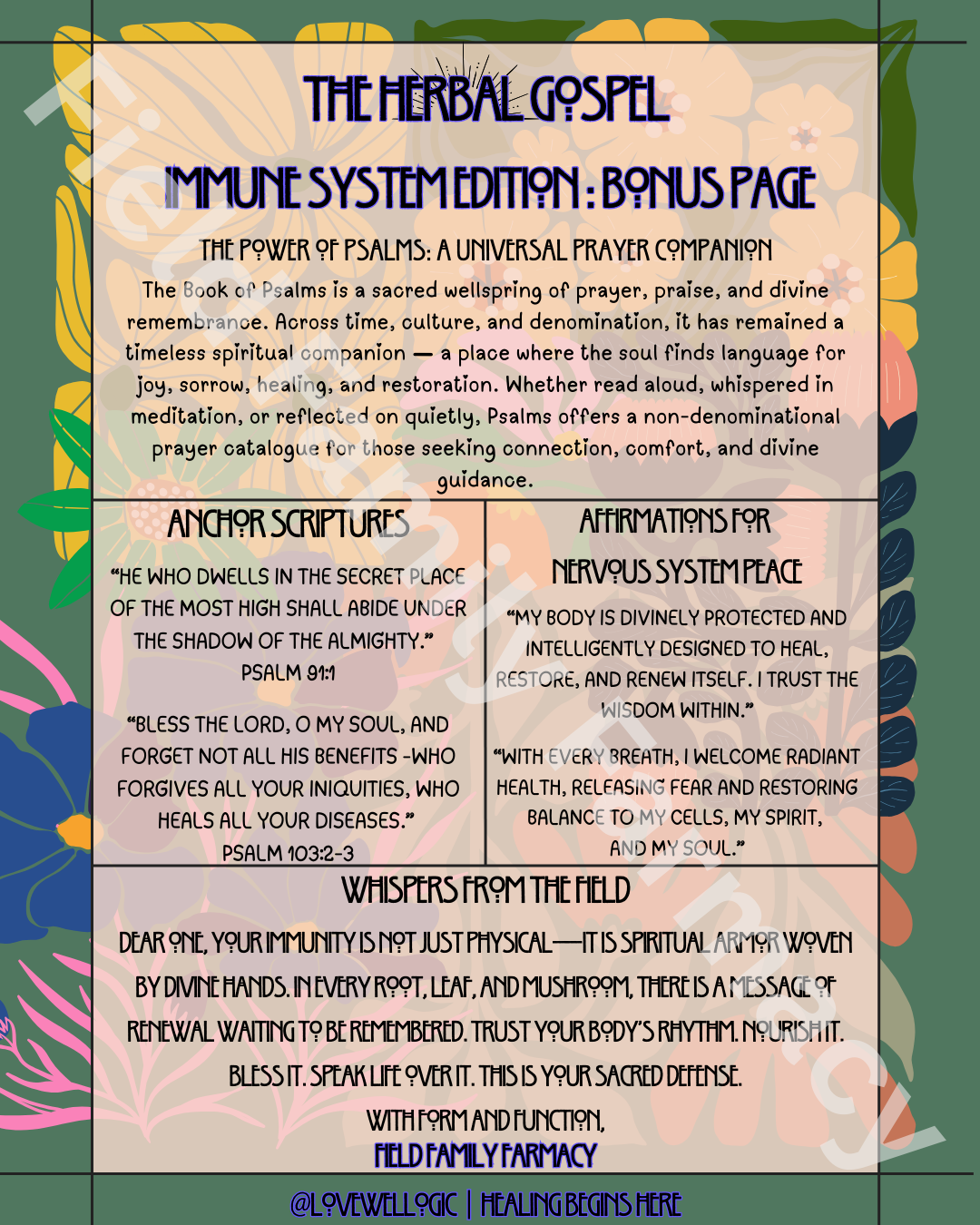 The Herbal Gospel: Immune System Cheatsheat