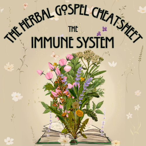The Herbal Gospel: Immune System Cheatsheat