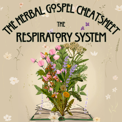 The Herbal Gospel: Respiratory System Cheatsheet