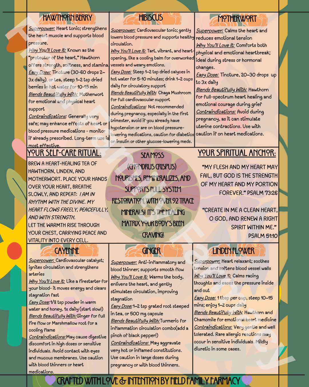 The Herbal Gospel: Cardiovascular System Cheatsheet