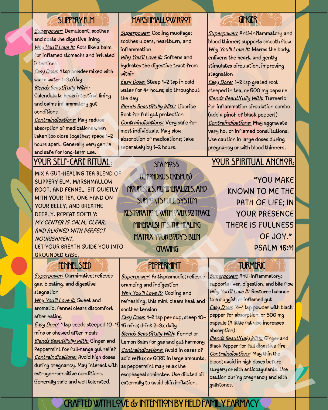 The Herbal Gospel: Digestive System Cheatsheet
