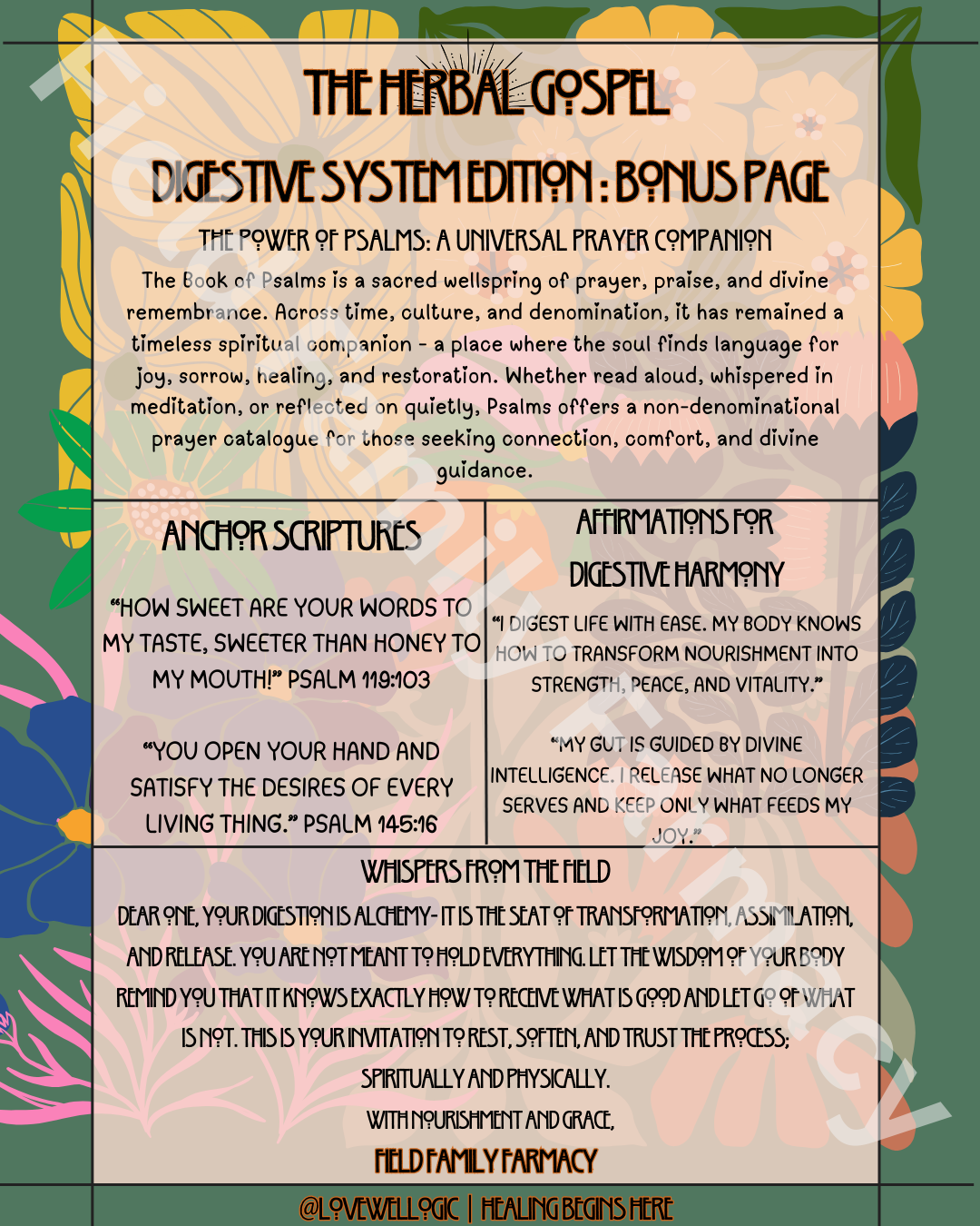 The Herbal Gospel: Digestive System Cheatsheet