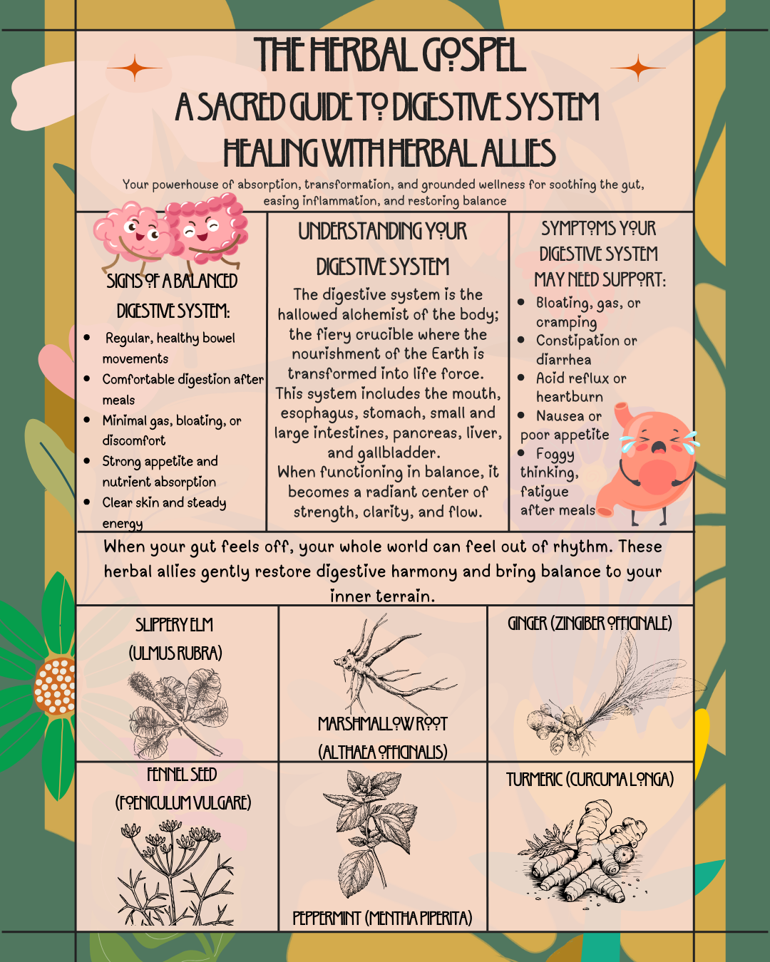 The Herbal Gospel: Digestive System Cheatsheet