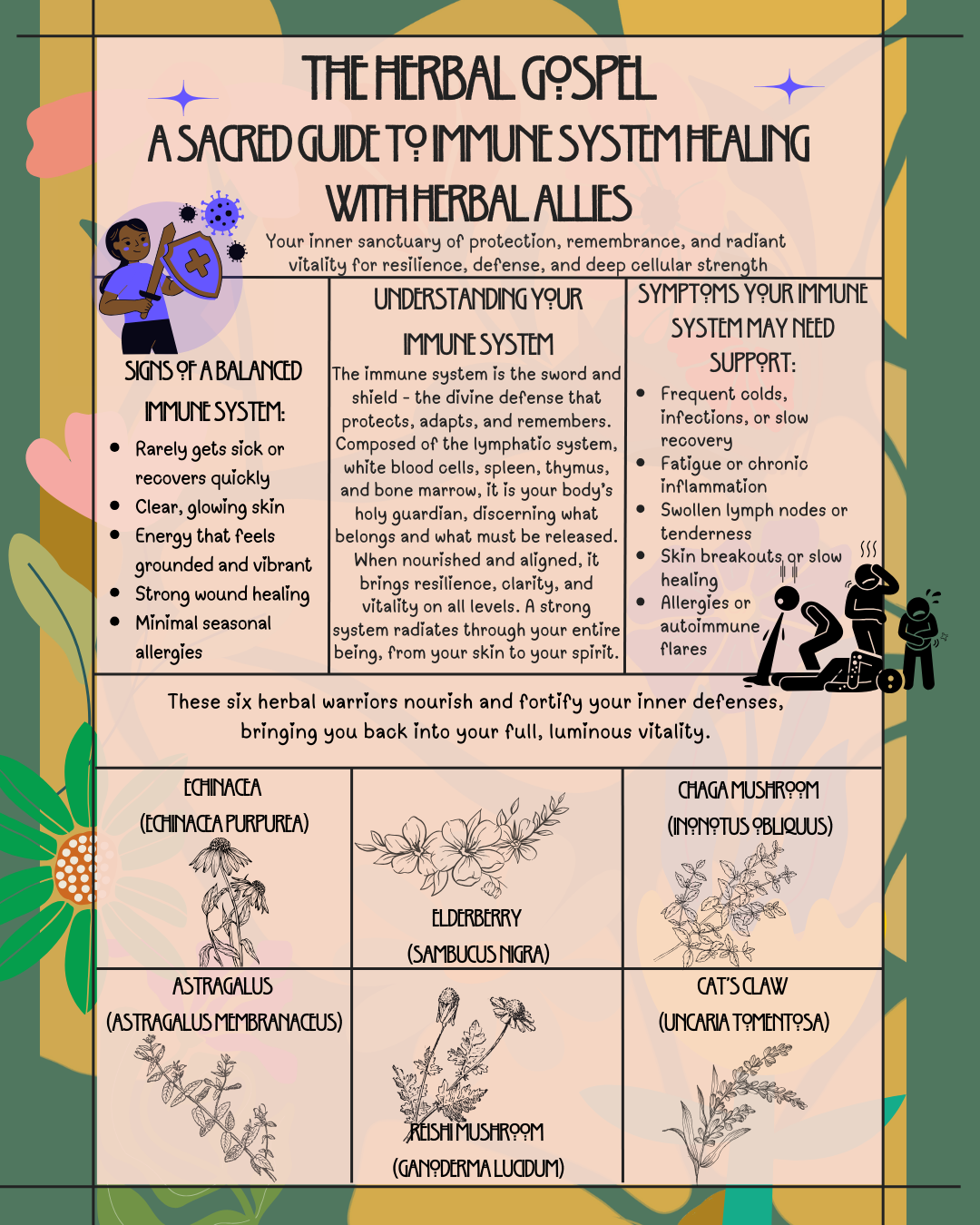 The Herbal Gospel: Herbal Top 5 Bundle