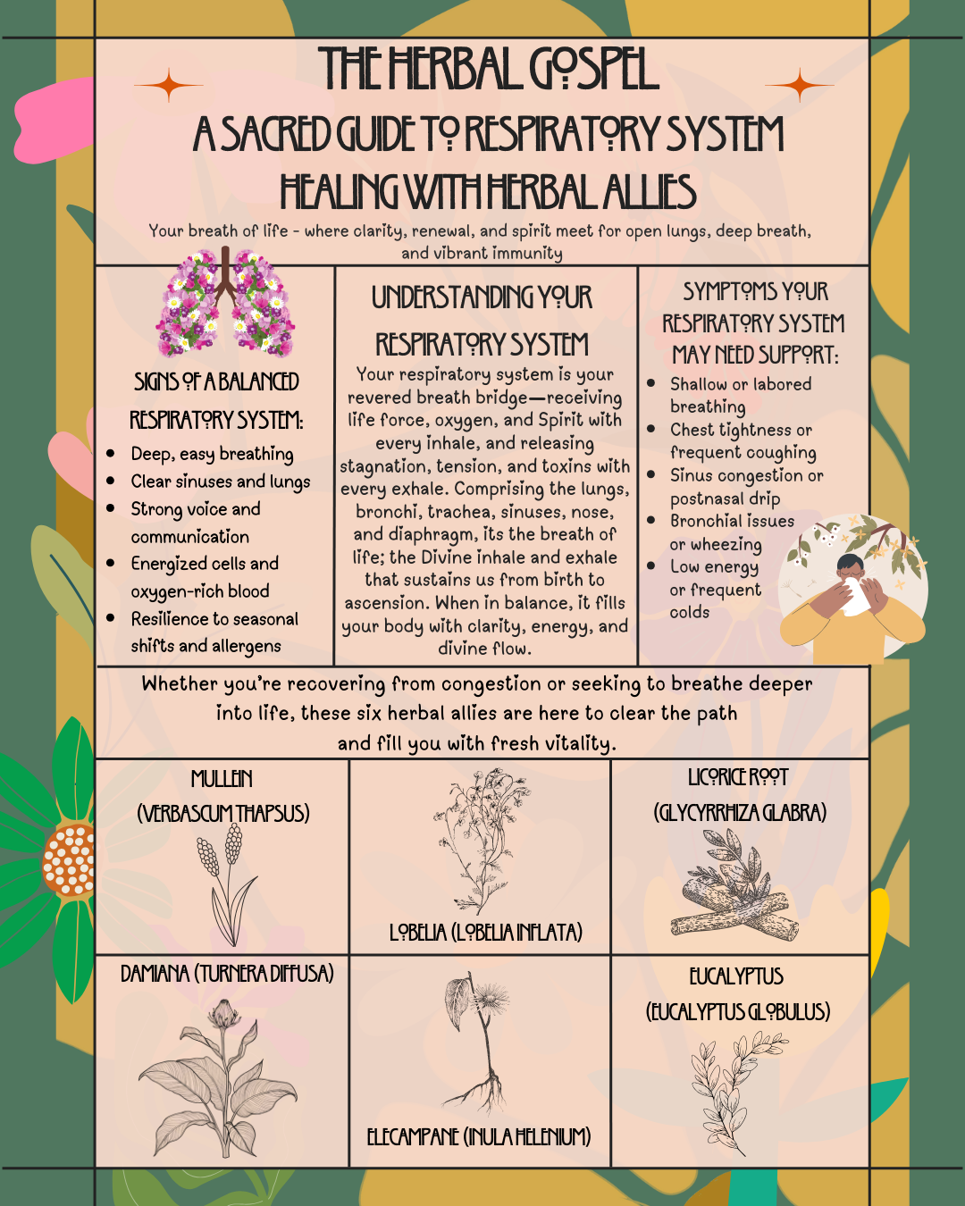 The Herbal Gospel: Respiratory System Cheatsheet