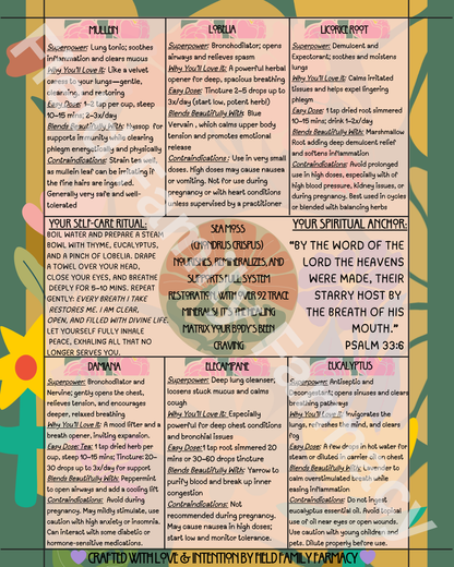 The Herbal Gospel: Respiratory System Cheatsheet