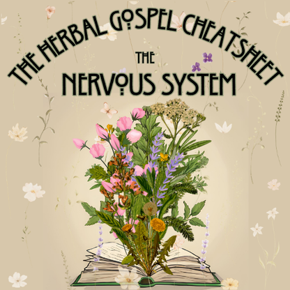 The Herbal Gospel: Nervous System Cheatsheet