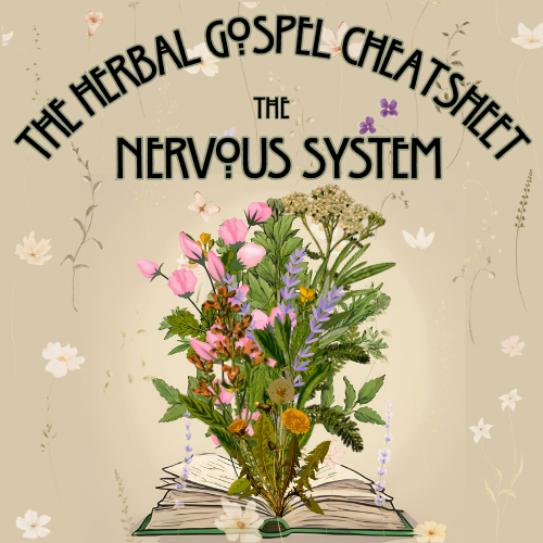 The Herbal Gospel: Nervous System Cheatsheet