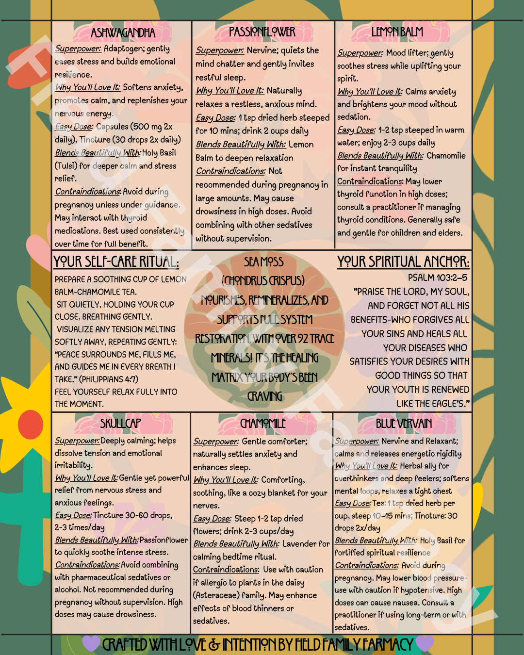 The Herbal Gospel: Nervous System Cheatsheet