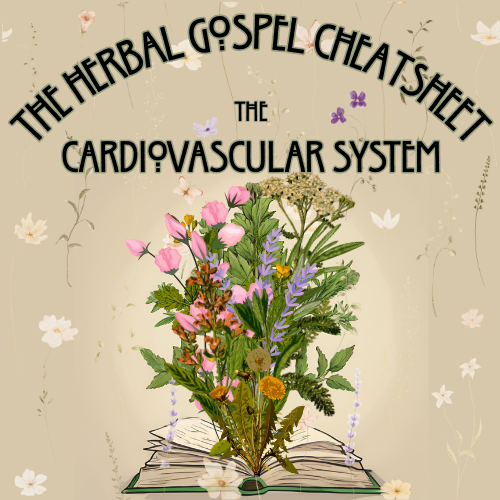 The Herbal Gospel: Cardiovascular System Cheatsheet