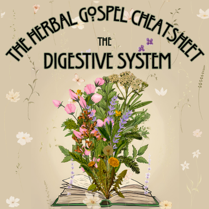 The Herbal Gospel: Digestive System Cheatsheet