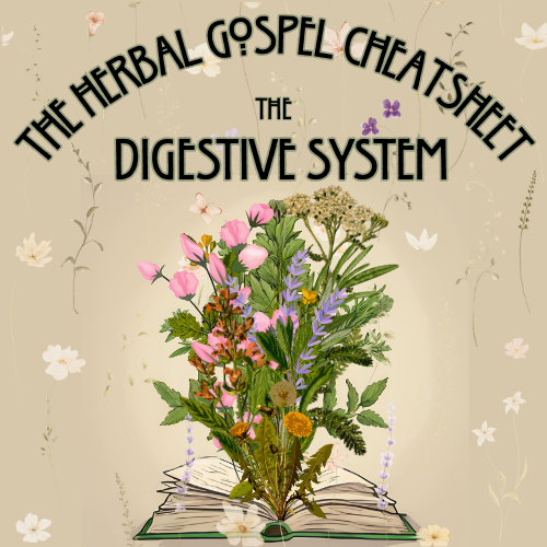 The Herbal Gospel: Digestive System Cheatsheet