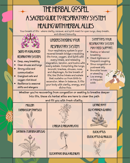 The Herbal Gospel: Respiratory System Cheatsheet